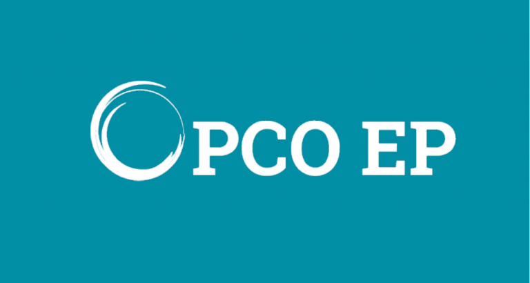 OPCO : Les Acteurs Clés de la Formation Professionnelle en France